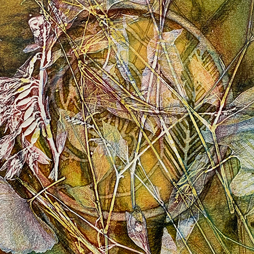 Harveys%20Pond%203%20FanTH