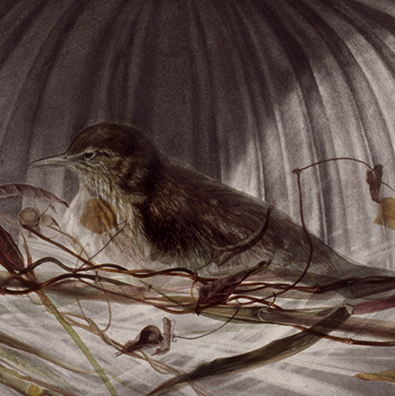 placeholder image-sq