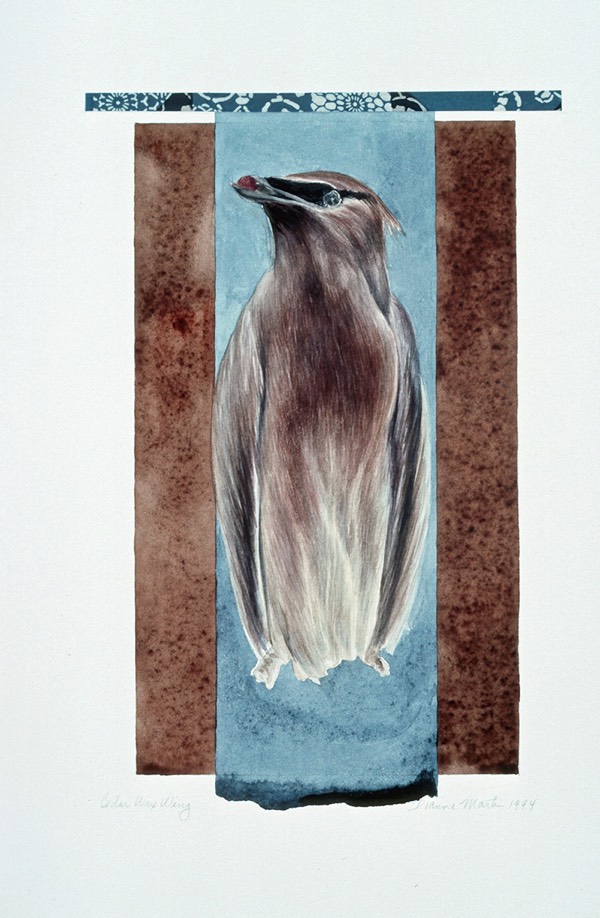 Cedar%20Wax%20Wing%20copy%202