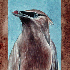 placeholder image-sq