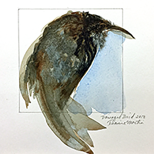 placeholder image-sq