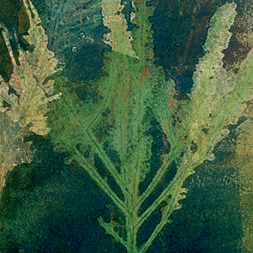 placeholder image-sq