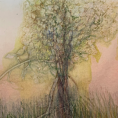 placeholder image-sq