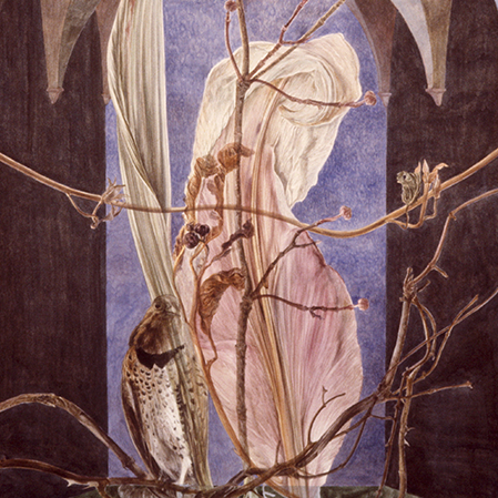 placeholder image-sq