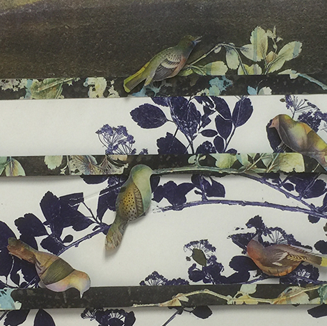 Harveys%20Pond%203%20FanTH