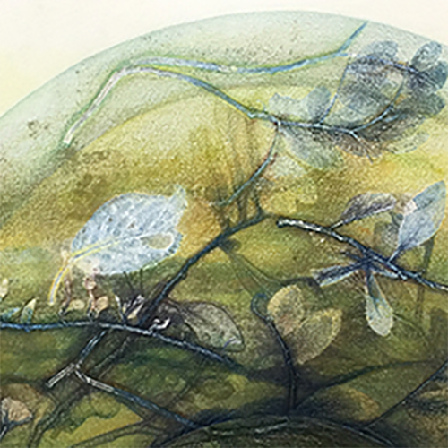 placeholder image-sq