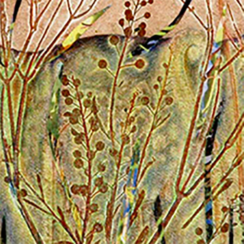 placeholder image-sq