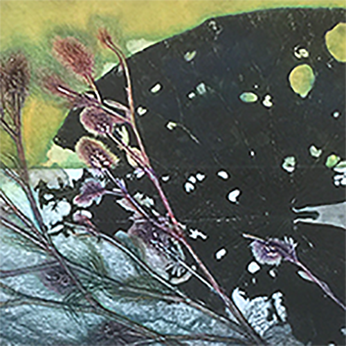 Harveys%20Pond%203%20FanTH