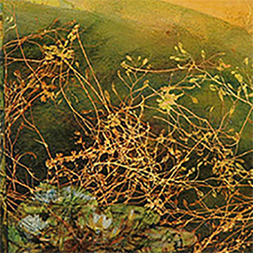 placeholder image-sq