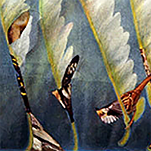 placeholder image-sq