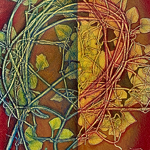 placeholder image-sq