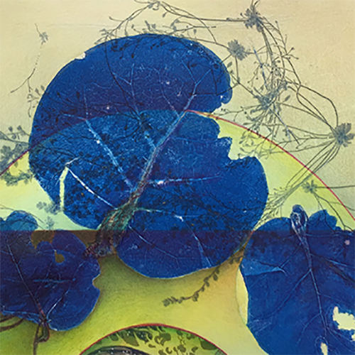 placeholder image-sq